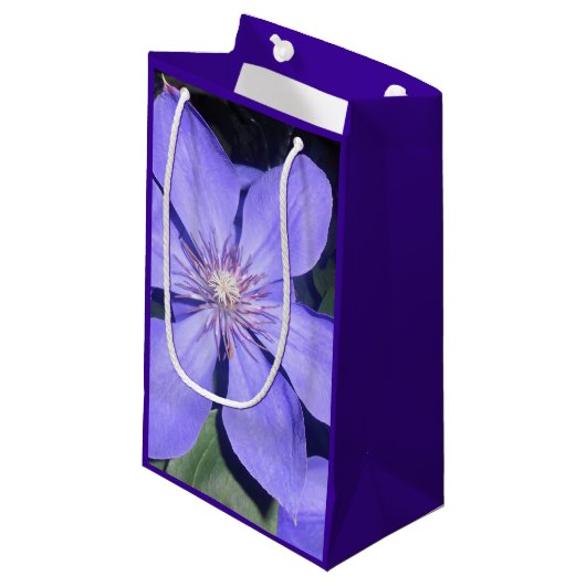 Césarine スモールペーパーバッグ (正面アングル)