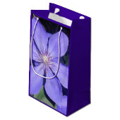 Césarine スモールペーパーバッグ (裏面アングル)