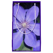 Césarine スモールペーパーバッグ (正面)