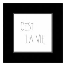C'est La Vie – それは人生フランスの-