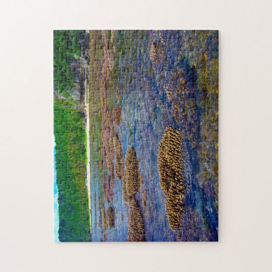 Cetti Bay Guam. ジグソーパズル (縦)