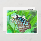 Ceylon Blue Glassy Tiger ポストカード (正面/裏面)