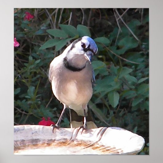 CF – 青いおもしろいジェイのポスター ポスター (正面)