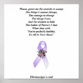 CFS serenity ポスター (正面)