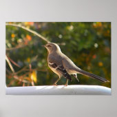 CG- Mockingbird Poster ポスター (正面)