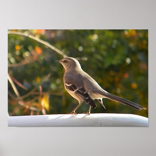 CG- Mockingbird Poster ポスター (正面)