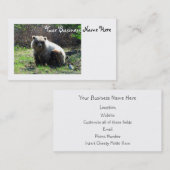 CGBのぽっちゃりした灰色グマ 名刺 (正面/裏面)