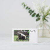 CGBのぽっちゃりした灰色グマ 名刺 (スタンド正面)