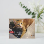 CGKの郵便はがき ポストカード (スタンド正面)