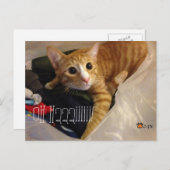 CGKの郵便はがき ポストカード (正面/裏面)