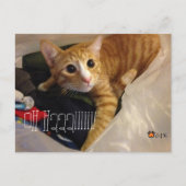 CGKの郵便はがき ポストカード (正面)