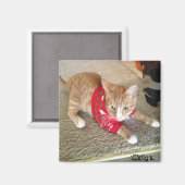 CGK冷蔵庫用マグネット マグネット (正面/裏面)