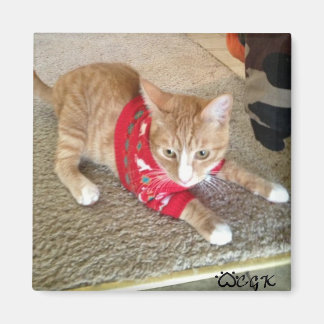 CGK冷蔵庫用マグネット マグネット