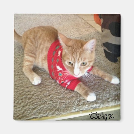 CGK冷蔵庫用マグネット マグネット (正面)