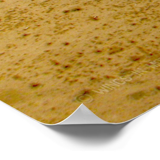 CH-46Eシーナイト ポスター (角)