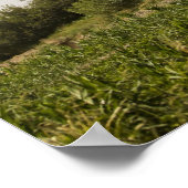 CH-53Dシースタリオン ポスター (角)