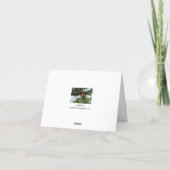 Chaffinch bird Greeting card サンキューカード (裏面)