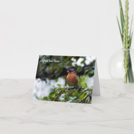 Chaffinch bird Greeting card サンキューカード (正面)