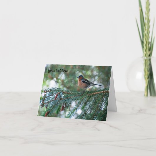 Chaffinch bird Greeting card サンキューカード (正面)