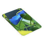 Chalice-of-Blue Morning Glory マグネット (右側)