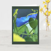 Chalice-of-Blue Morning Glory Blank カード (黄色い花)