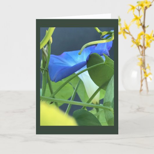 Chalice-of-Blue Morning Glory Blank  カード (黄色い花)