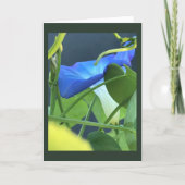 Chalice-of-Blue Morning Glory Blank  カード (正面)