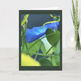Chalice-of-Blue Morning Glory Blank  カード