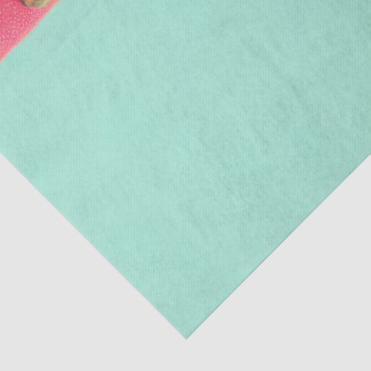 Chalk llustrated Christmas Nutcracker 薄葉紙 (詳細)