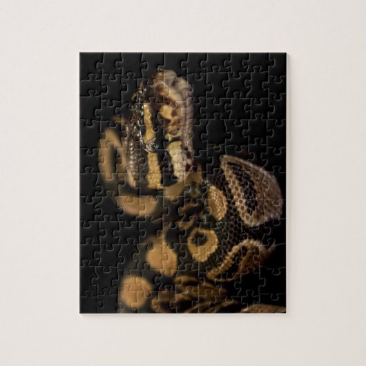 Challenging Snake Puzzle ジグソーパズル (縦)