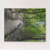 Challenging walk through Guatemalan rain forest  ジグソーパズル (横)