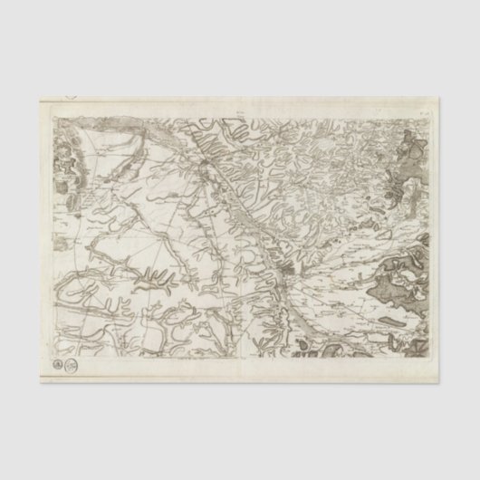 Chalonsenシャンペン 薄葉紙 (正面)