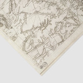 Chalonsenシャンペン 薄葉紙 (詳細)