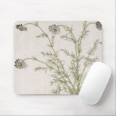 Chamaemelum nobile Allioni、c.1568 マウスパッド (マウス)