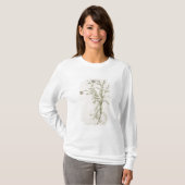 Chamaemelum nobile Allioni、c.1568 Tシャツ (正面フル)