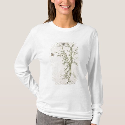 Chamaemelum nobile Allioni、c.1568 Tシャツ (正面)