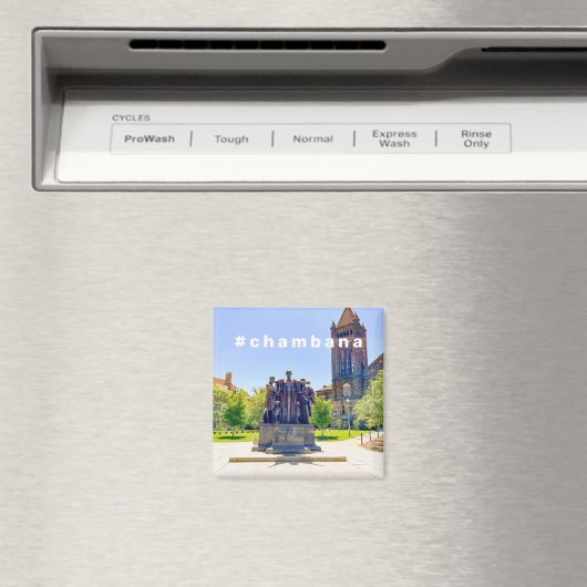 #Chambana磁石 マグネット (インサイチュ (食洗機))