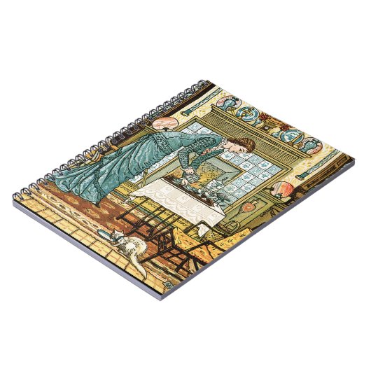 Chamberの「家の洒落男へのfrontispiece私の女性の ノートブック (左側)