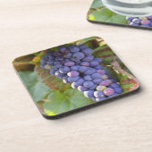 ChambertinのPinot Noirブドウの束 コースター (左側)