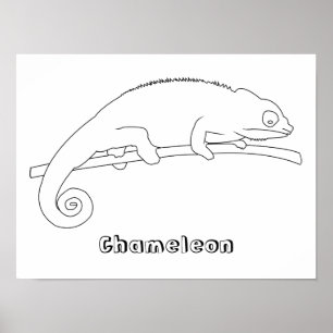 Chameleonアウトラインスケッチポスター ポスター