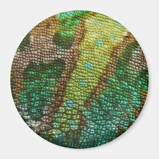Chameleonスキンテクスチャテンプレート マグネット (正面)