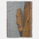 Chameleon スローブランケット (正面縦)