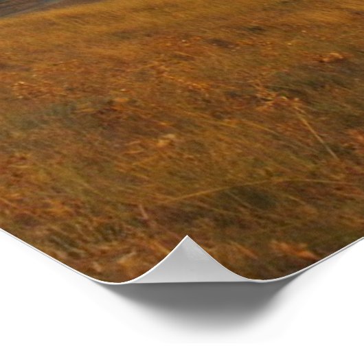 Chameleon ポスター (角)