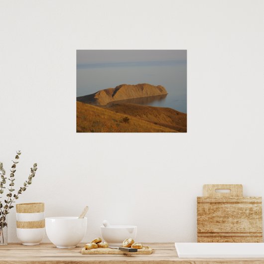 Chameleon ポスター (キッチン)