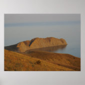 Chameleon ポスター (正面)