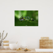 Chameleon by Johannes Stötter ポスター (キッチン)