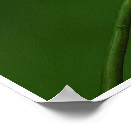 Chameleon by Johannes Stötter ポスター (角)