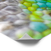 Chameleon eye ポスター (角)