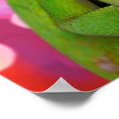 Chameleon Heart (Luv U) ポスター (角)