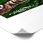 Chameleon Life ポスター (角)